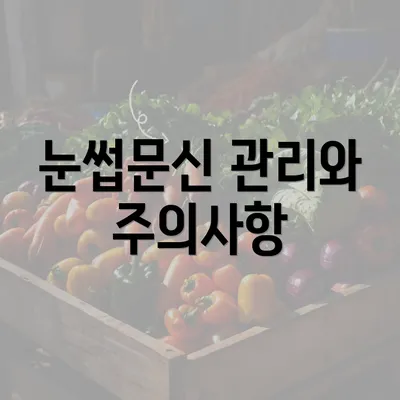 눈썹문신 관리와 주의사항