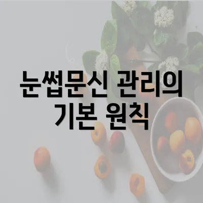 눈썹문신 관리의 기본 원칙