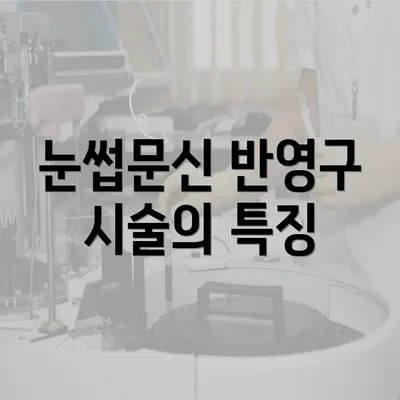 눈썹문신 반영구 시술의 특징