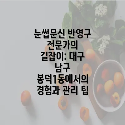 눈썹문신 반영구 전문가의 길잡이: 대구 남구 봉덕1동에서의 경험과 관리 팁