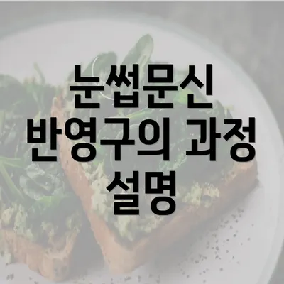 눈썹문신 반영구의 과정 설명