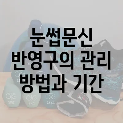 눈썹문신 반영구의 관리 방법과 기간