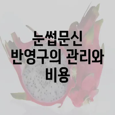 눈썹문신 반영구의 관리와 비용