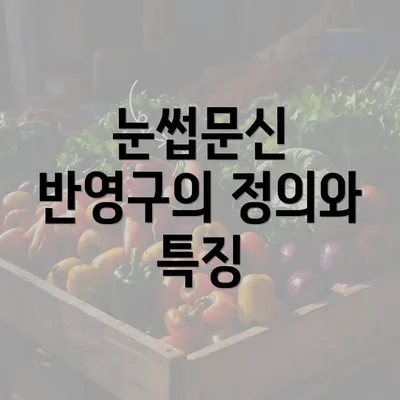 눈썹문신 반영구의 정의와 특징