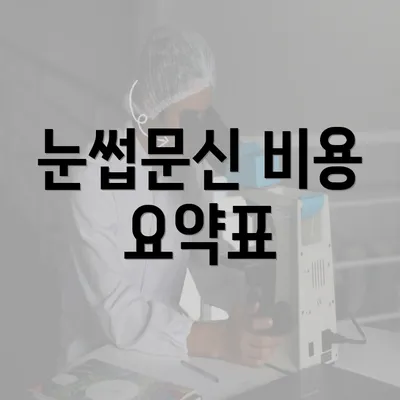 눈썹문신 비용 요약표