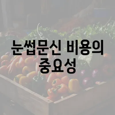 눈썹문신 비용의 중요성