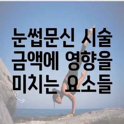 눈썹문신 시술 금액에 영향을 미치는 요소들