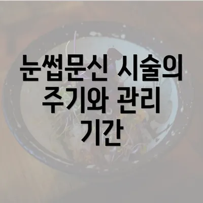 눈썹문신 시술의 주기와 관리 기간