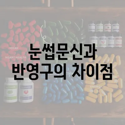 눈썹문신과 반영구의 차이점