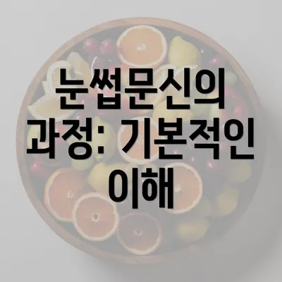 눈썹문신의 과정: 기본적인 이해