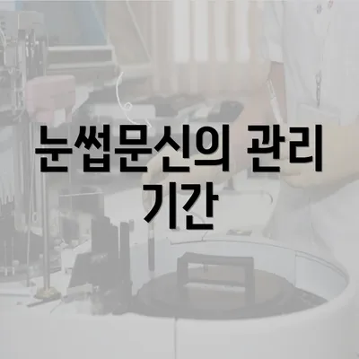 눈썹문신의 관리 기간