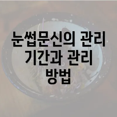 눈썹문신의 관리 기간과 관리 방법