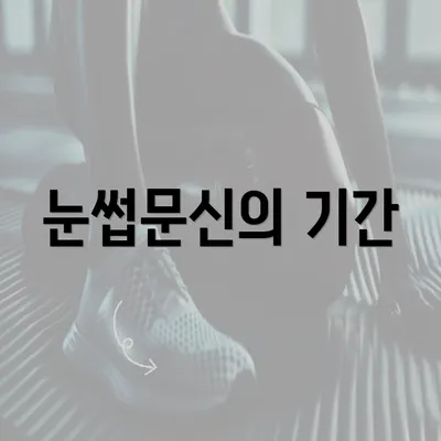 눈썹문신의 기간