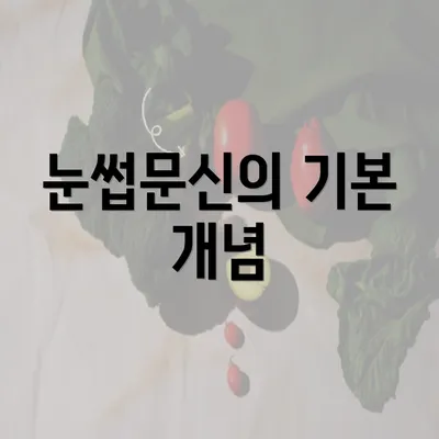 눈썹문신의 기본 개념