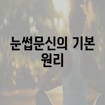 눈썹문신의 기본 원리