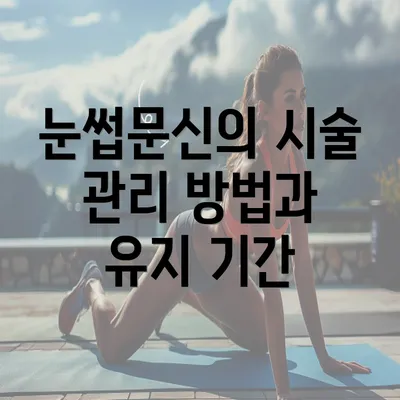 눈썹문신의 시술 관리 방법과 유지 기간