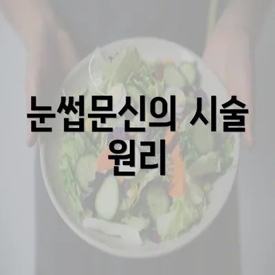 눈썹문신의 시술 원리