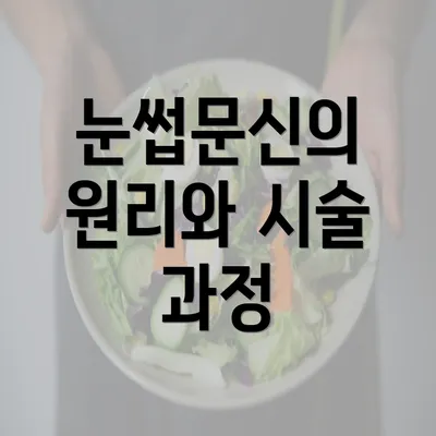 눈썹문신의 원리와 시술 과정