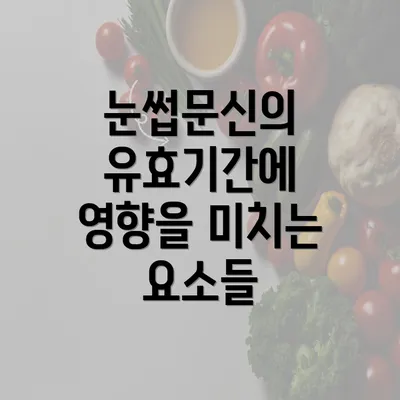 눈썹문신의 유효기간에 영향을 미치는 요소들