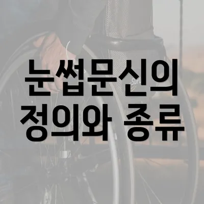 눈썹문신의 정의와 종류