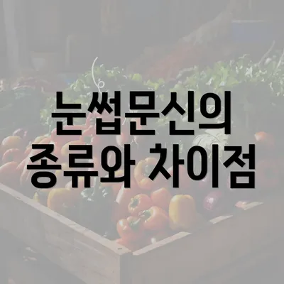 눈썹문신의 종류와 차이점