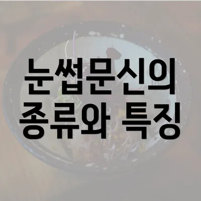 눈썹문신의 종류와 특징