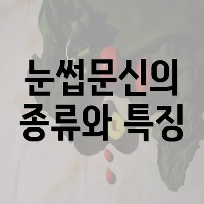 눈썹문신의 종류와 특징