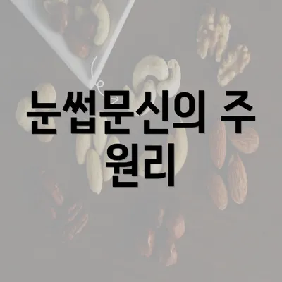 눈썹문신의 주 원리