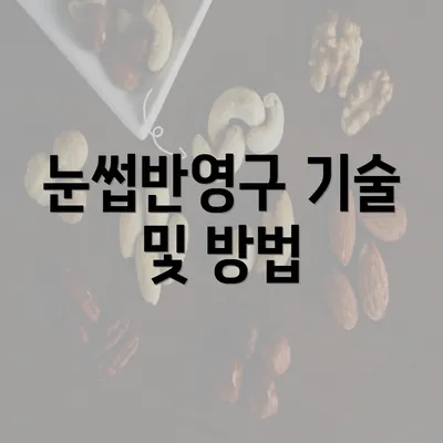 눈썹반영구 기술 및 방법