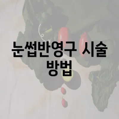 눈썹반영구 시술 방법