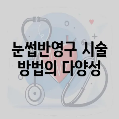 눈썹반영구 시술 방법의 다양성