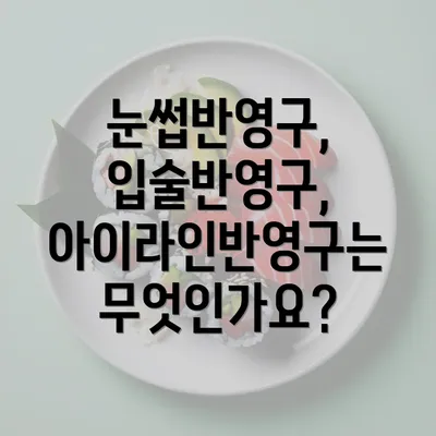 눈썹반영구, 입술반영구, 아이라인반영구는 무엇인가요?