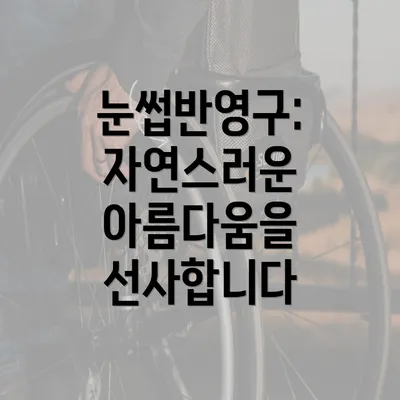 눈썹반영구: 자연스러운 아름다움을 선사합니다