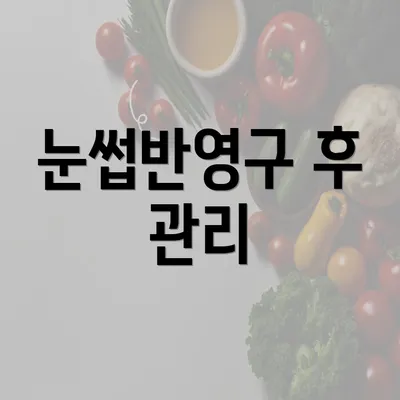 눈썹반영구 후 관리