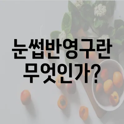 눈썹반영구란 무엇인가?