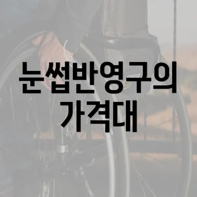 눈썹반영구의 가격대