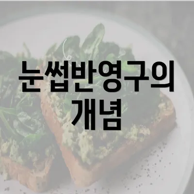 눈썹반영구의 개념