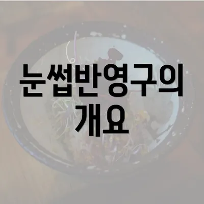 눈썹반영구의 개요