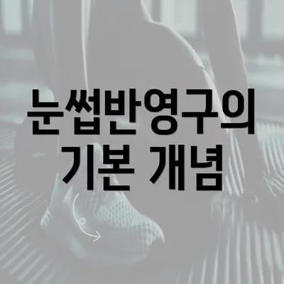 눈썹반영구의 기본 개념