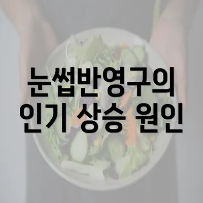 눈썹반영구의 인기 상승 원인