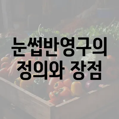 눈썹반영구의 정의와 장점