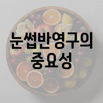 눈썹반영구의 중요성