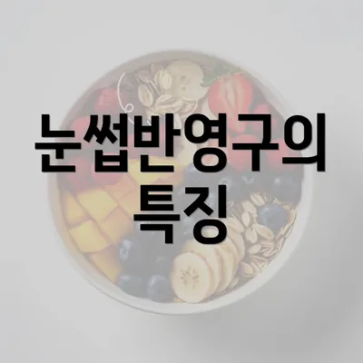 눈썹반영구의 특징