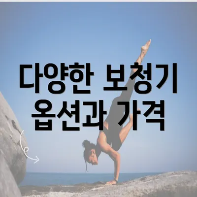 다양한 보청기 옵션과 가격