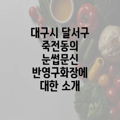 대구시 달서구 죽전동의 눈썹문신 반영구화장에 대한 소개