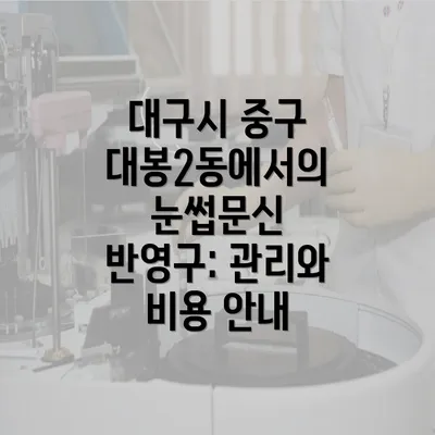 대구시 중구 대봉2동에서의 눈썹문신 반영구: 관리와 비용 안내