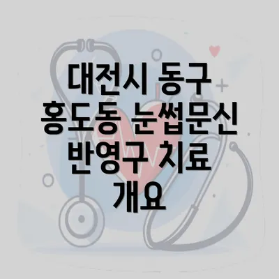 대전시 동구 홍도동 눈썹문신 반영구 치료 개요