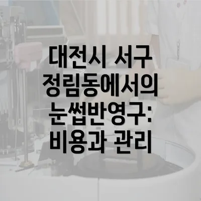 대전시 서구 정림동에서의 눈썹반영구: 비용과 관리