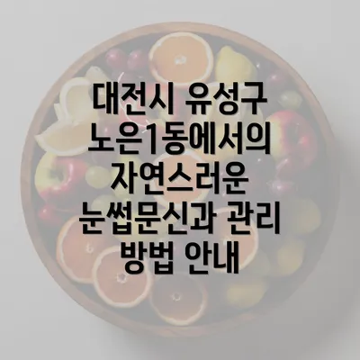 대전시 유성구 노은1동에서의 자연스러운 눈썹문신과 관리 방법 안내