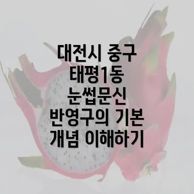 대전시 중구 태평1동 눈썹문신 반영구의 기본 개념 이해하기